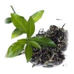 Green Tea - Certified Organic Liquid Extracts [Glycerine Based]
