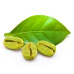 Green Coffee Seed - Certified Organic Liquid Extracts [Glycerine Based]