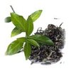 1kg Green Tea Certified Organic Liquid Extract [Glycerine Based]