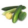 100g Cucumber - Liquid Extract [Glycerine Based]