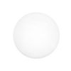 Caska Seal Clear for 89mm PET Jar