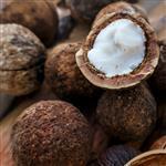 Sandalwood Nut Australian Virgin Oil