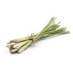20 Lt Citronella Ceylon Essential Oil - { Packaging: 4 x 5Lt }