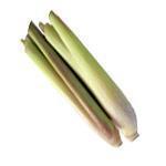 20 kg Lemongrass and Green Clay Soap - 200 bars