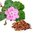 20 kg (When Packed) Sandalwood Rose Geranium And Red Clay Soap - 200 bars