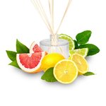 30mL Mental Clarity Essential Oil Blend
