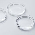 5kg Glycerine Palm Free