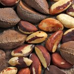 500mL Brazil Nut Virgin Oil