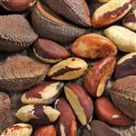 Brazil Nut Virgin Oil