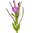 20 Kg Canadian Willowherb - Liquid Extract [Glycerine Based]