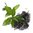 20 Kg Green Tea Certified Organic Liquid Extract [Glycerine Based] - ACO 10282P