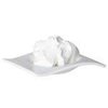 20L Body Custard - Ultra Gentle Range