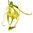 6 ml Ylang Ylang Extra Essential Oil                                                                