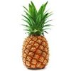 1kg Pineapple - Liquid Extract [Glycerine Based]