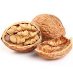 Walnut - Liquid Extracts [Glycerine Based]