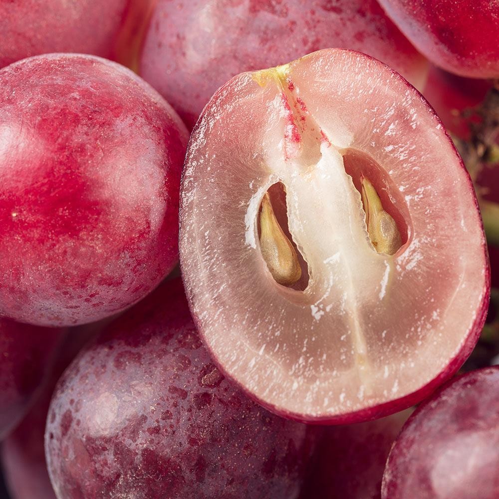 20 LT Grapeseed Oil Certified Organic - ACO 10282P - New