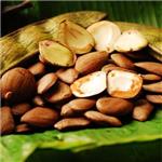 Pracaxi Virgin Oil - Vegetable, Carrier, Emollients & other Oils