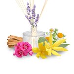 100mL Oily Skin Essential Oil Blend