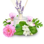 17mL Normal Skin Essential Oil Blend