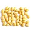 5kg Soya Protein - Liquid Extract [Glycerine Based]