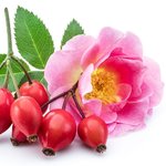 1L Rosehip (Rosa canina) Virgin Certified Organic Vegetable Oil
