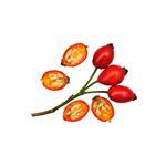 1 LT Rosehip Seed Virgin Oil