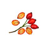 Rosehip Seed Virgin Oil - Vegetable, Carrier, Emollients & other Oils