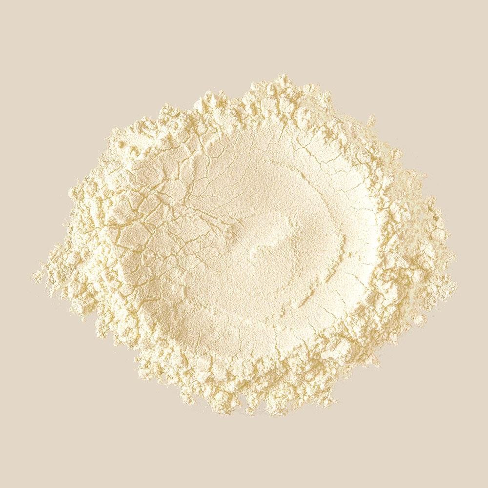 1kg Hydrolysed Rice Protein - New Directions Australia