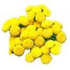 30mL Tansy Blue 3% in Jojoba Oil