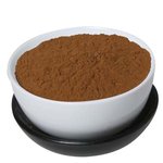 20 kg Olive Leaf [10:1] Powder - Fruit & Herbal Powder Extracts