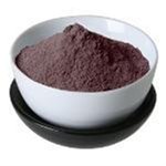 20 kg Rosehip [20:1] Powder - Fruit & Herbal Powder Extracts