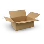 Brown RSC Shipping Cartons
