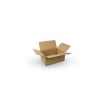 Small Brown Shipping Carton: 235mm (W) x 220mm (L) x 85mm (D) - Carton of 25