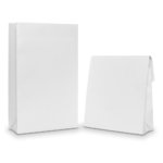 Paper Satchel Bag - White Large 300mm (W) x 420mm (H) + 120mm (G) - Carton of 100