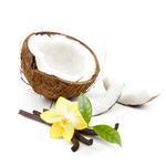 Coconut & Vanilla - Fragrant Oils - Naturally Derived