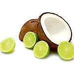 100 ml Coconut & Lime Fragrant Oil - Naturally Derived