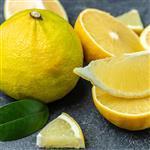 Bergamot Italian Natural Blend - Essential Oils