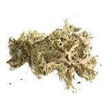 500g Oakmoss Low Atranol Macerated Oil