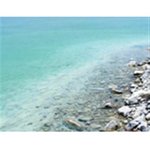 30mL Sea Minerals Fragrant Oil