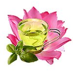 30 ml Green Tea and Lotus Fragrant Oil