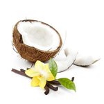30mL Coconut & Vanilla Fragrant Oil - Naturally Derived