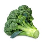 20 LT Broccoli Seed Oil