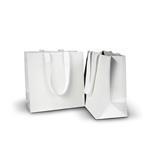 Ice MATTE Portrait Paper Bags with WHITE Grosgrain Ribbon Handles