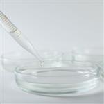 Colloidal Silver - (Skin Active)