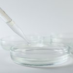 17g Colloidal Silver