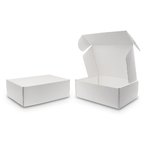 White Shipping Carton SIZE 2B: 315mm (W) x 225mm (L) x 105mm (D) - Carton of 50