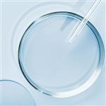 Dimethicone / Dimethiconol
