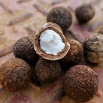 1kg Sandalwood Australian Nut CO2 Oil