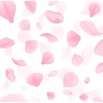 30 ml Soft Petale Fragrant Oil