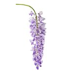 100 ml Wisteria Fragrant Oil